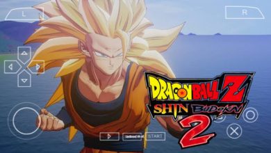 Dragon Ball Z Shin Budokai 2 PPSSPP ISO