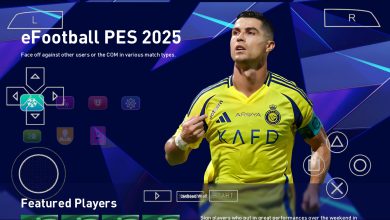 Efootball 2025 Zip File