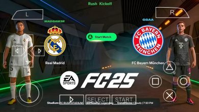 FC 2025 PPSSPP ISO File